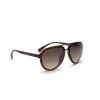 Aviator Sunglasses With Dark Tortoise Frame - B0011STOR