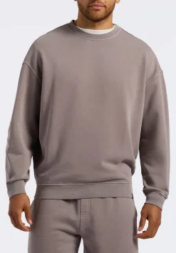 Famke Men's Relaxed Crewneck Sweatshirt, Driftwood Brown - BM24541