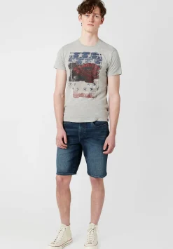 Tuca Americana Men's Flag T-Shirt in Grey - BM23763